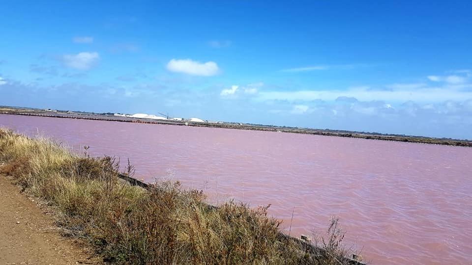 Vue Imprenable Sur Le Port, Proche Plages ! Apartment La Grande Motte Luaran gambar